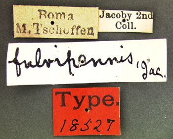 Media type: image; Entomology 18527   Aspect: labels